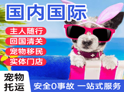 大理凤仪空运代理国际宠物托运 【国